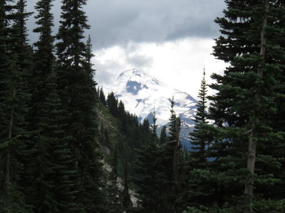 IMG_3520.JPG