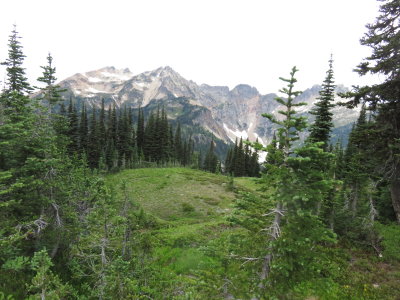 IMG_3521.JPG