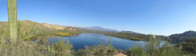 Butcher Jones (Saguaro Lake) 11/21/2018