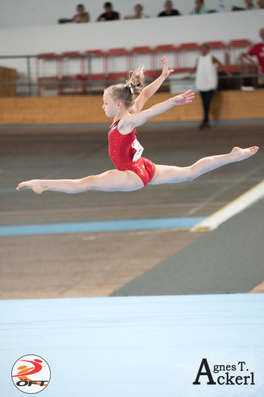 DSC_3127.jpg