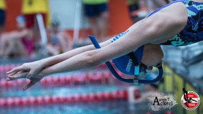 Flossenschwimmen Österreichische Staatsmeisterschaften- Finswimming Austrian Championship 2016