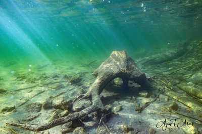 Magic Waters - Obertraun/ Hallsttter See/ Koppentraun 2018