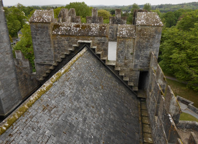 Bunratty Castle roof