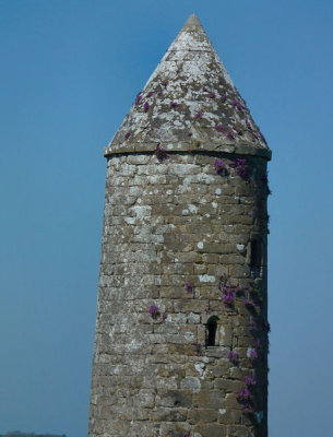 Temple Finion tower