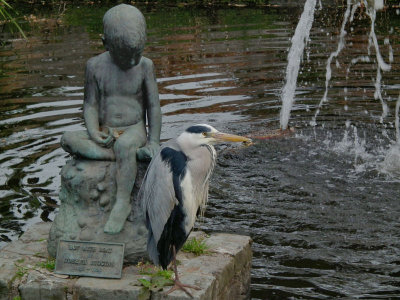 Fitzgerald Park_Boy with Boat and Grey Heron