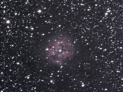 C19 Cocoon nebula: 10 minutes exposure with 150mm itelescope in Nm