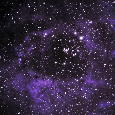 NGC2244 Rosette nebula_ 10 minutes exposure with 150mm itelescope from Mayhill Nm