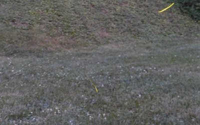 g10/39/694039/3/167846508.a9m748sz.jpg