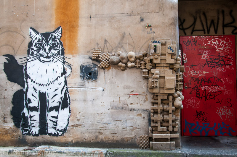 A stencilled moggy and a robotic creature...