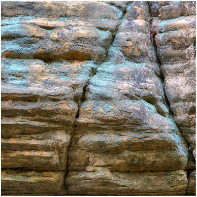 5D1_1692_sq.jpg