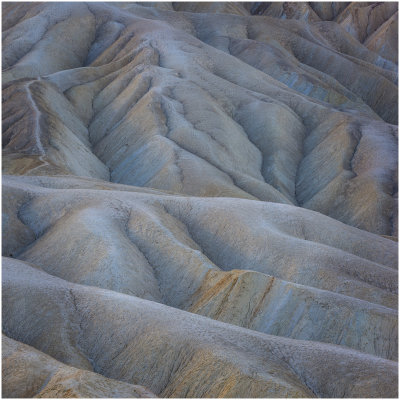 5D2_1146Sq.jpg