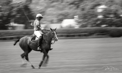 Gatsby Gallop Polo Match