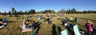 Panorama of the Alpaca Farm field