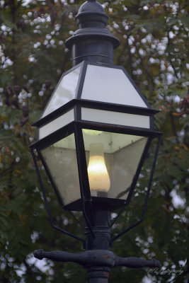 Park Lantern_20171016_073321_in Daylight.JPG