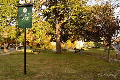Laurel Park in Late Sunlight
