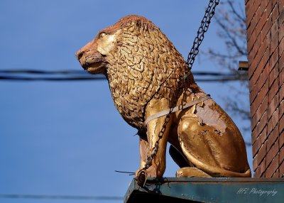 Week 6- Easthamtpn Signage- The Brass Cat in need of repair.JPG