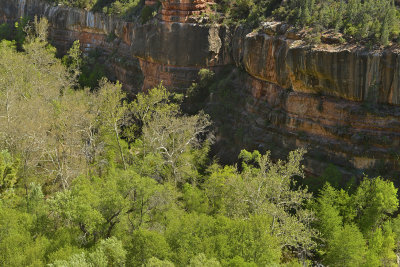 AZ - Sedona Oak Creek Canyon 2.jpg