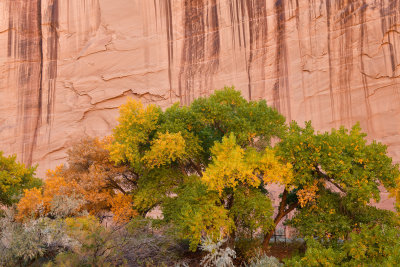 AZ - Canyon de Chelly - Canyon Walls 5.jpg