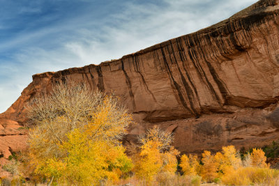 AZ - Canyon de Chelly - Canyon Floor 1.jpg