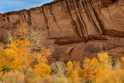 AZ - Canyon de Chelly - Canyon Floor 2.jpg