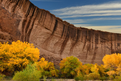 AZ - Canyon de Chelly - Canyon Floor 3.jpg