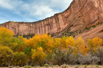 AZ - Canyon de Chelly - Canyon Floor 4.jpg