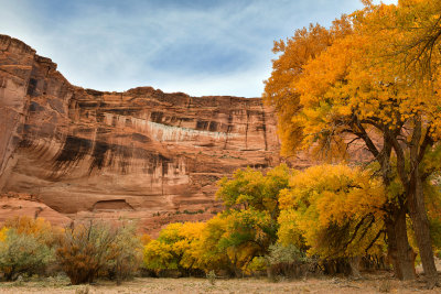 AZ - Canyon de Chelly - Canyon Floor 5.jpg