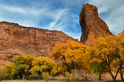AZ - Canyon de Chelly - Canyon Floor 6.jpg