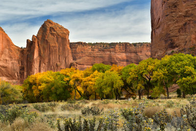 AZ - Canyon de Chelly - Canyon Floor 7.jpg