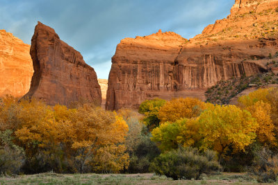 AZ - Canyon de Chelly - Canyon Floor 8.jpg