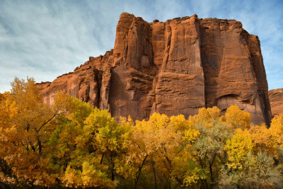 AZ - Canyon de Chelly - Canyon Floor 9.jpg