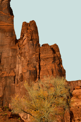 AZ - Canyon de Chelly - Canyon Floor 10.jpg