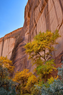 AZ - Canyon de Chelly - Canyon Floor 12.jpg