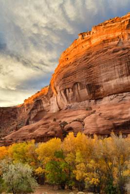 AZ - Canyon de Chelly - Canyon Floor 14.jpg