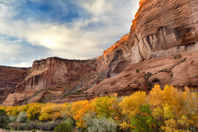 AZ - Canyon de Chelly - Canyon Floor 15.jpg