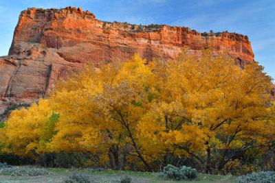 AZ - Canyon de Chelly - Canyon Floor 16.jpg