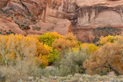 AZ - Canyon de Chelly - Canyon Walls 1.jpg