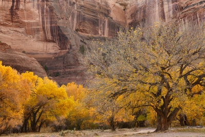 AZ - Canyon de Chelly - Canyon Walls 2.jpg