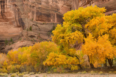 AZ - Canyon de Chelly - Canyon Walls 3.jpg