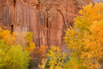 AZ - Canyon de Chelly - Canyon Walls 4.jpg