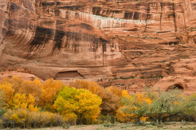AZ - Canyon de Chelly - Canyon Walls 7.jpg