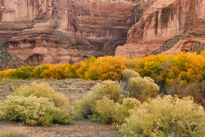 AZ - Canyon de Chelly - Canyon Walls 8.jpg
