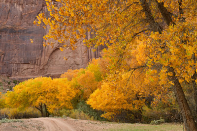 AZ - Canyon de Chelly - Canyon Walls 9.jpg