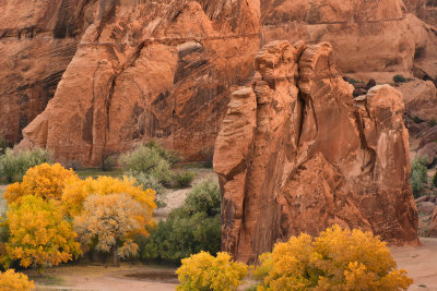 AZ - Canyon de Chelly - Details from Above 1.jpg