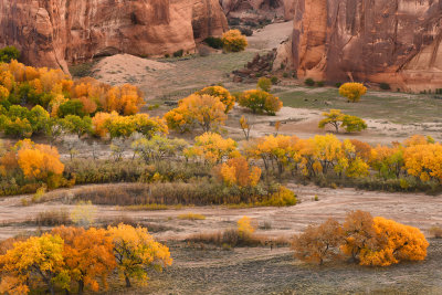 AZ - Canyon de Chelly - Details from Above 4.jpg