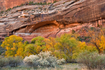 UT - Zion NP - Canyon Wall 1.jpg