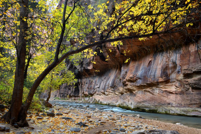 UT - Zion NP - The Narrows 13.jpg