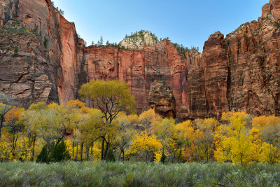 UT - Zion NP - Temple of Sinawava 1.jpg