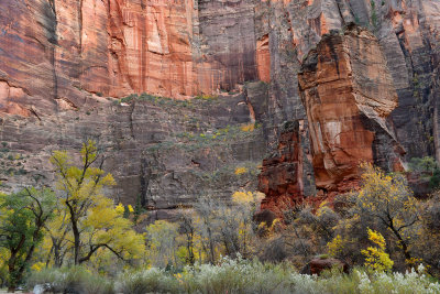 UT - Zion NP - Temple of Sinawava 2.jpg