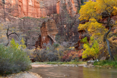 UT - Zion NP - Temple Of Sinawava 3.jpg